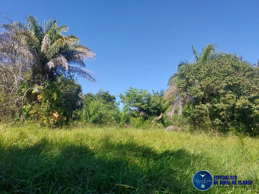 Foto 3 de Fazenda / Haras à venda, 100m2 em Aruana - GO