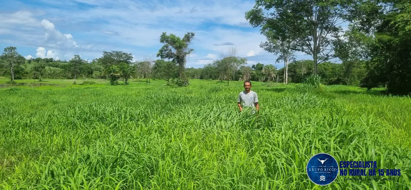 Foto 6 de Fazenda / Haras à venda, 30m2 em Setor Central, Crixas - GO