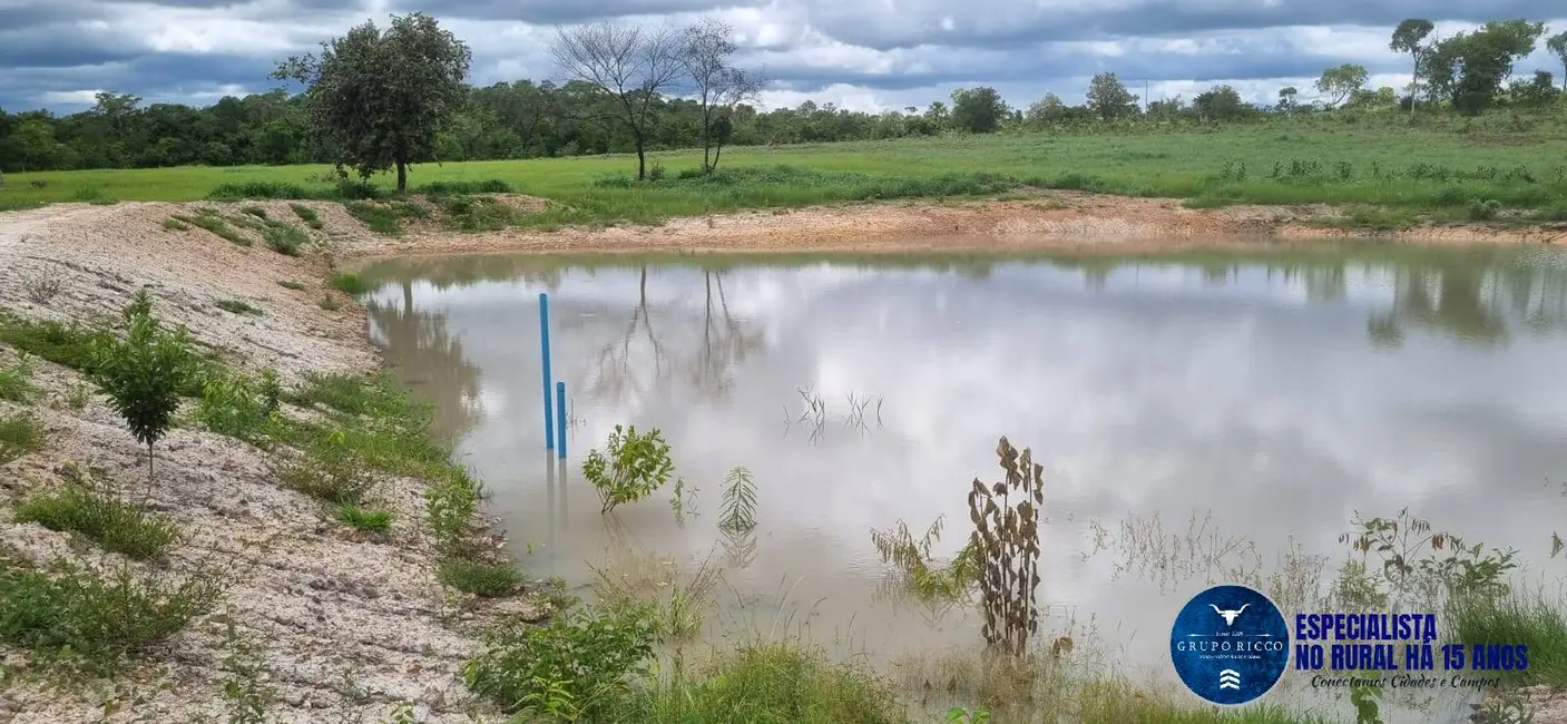 Foto 2 de Fazenda / Haras à venda, 30m2 em Setor Central, Crixas - GO