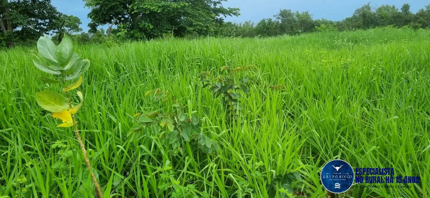 Foto 4 de Fazenda / Haras à venda, 30m2 em Setor Central, Crixas - GO