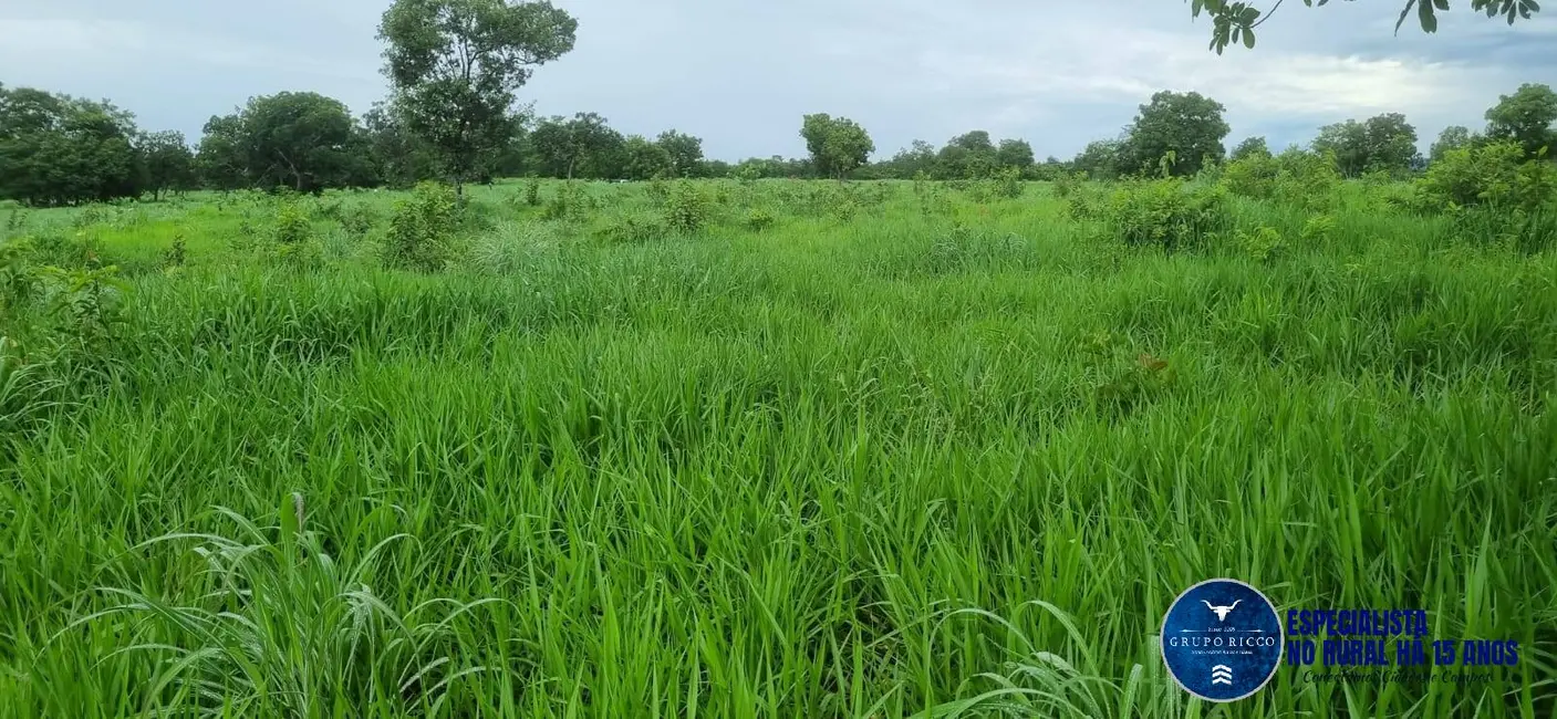 Foto 7 de Fazenda / Haras à venda, 30m2 em Setor Central, Crixas - GO