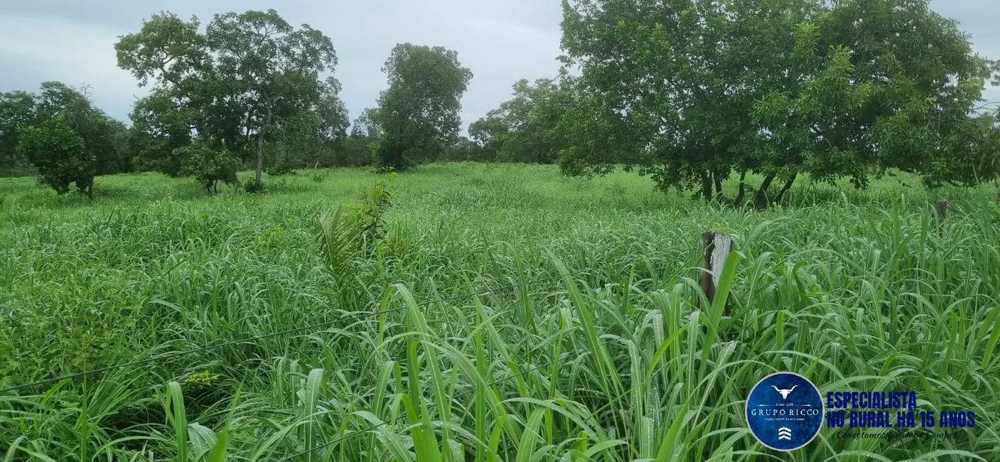 Foto 8 de Fazenda / Haras à venda, 30m2 em Setor Central, Crixas - GO