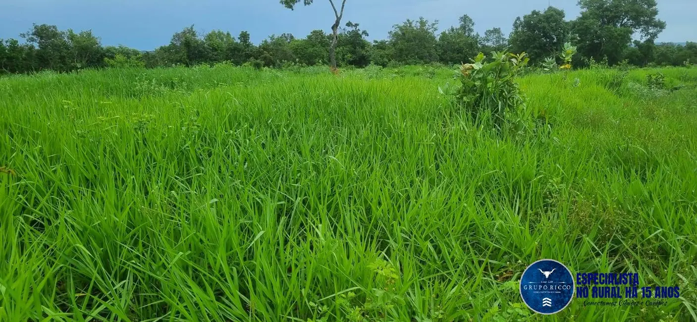 Foto 9 de Fazenda / Haras à venda, 30m2 em Setor Central, Crixas - GO