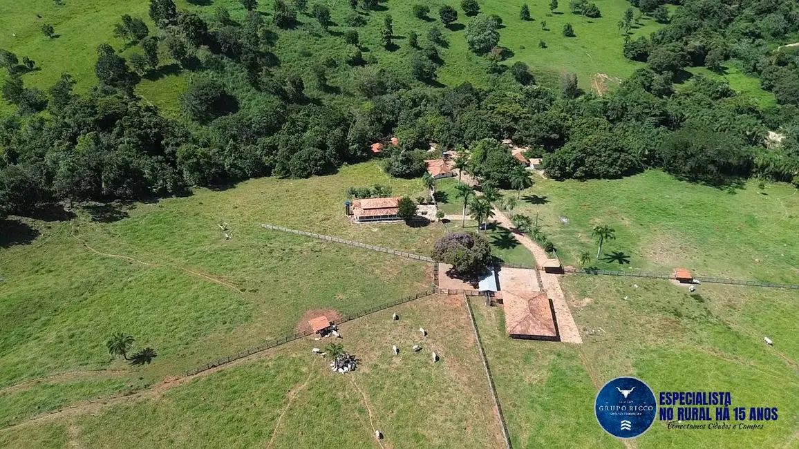 Foto 9 de Fazenda / Haras com 4 quartos à venda, 39m2 em Sanclerlandia - GO