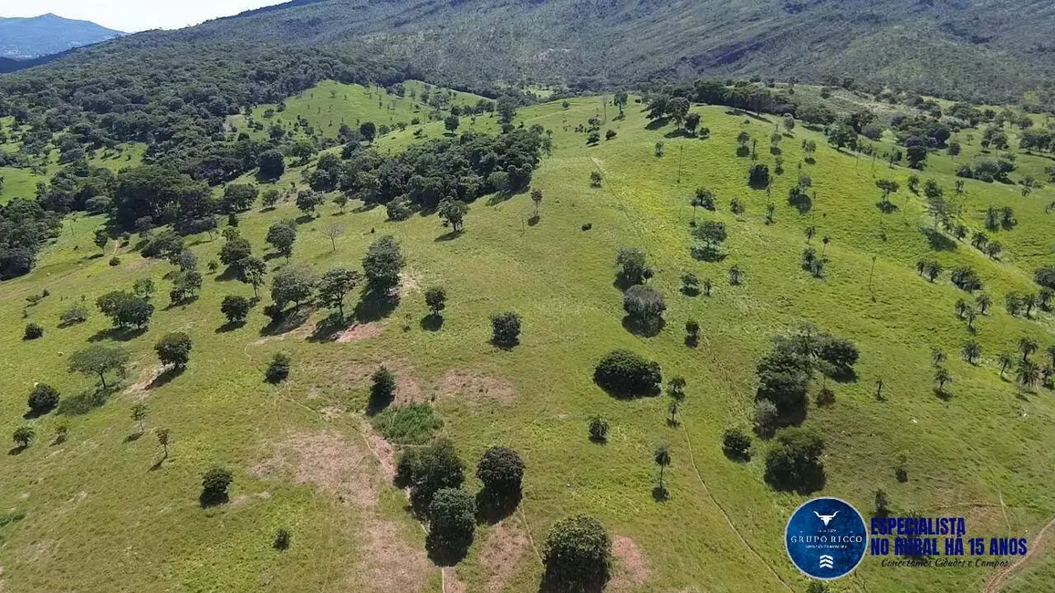 Foto 6 de Fazenda / Haras com 4 quartos à venda, 39m2 em Sanclerlandia - GO