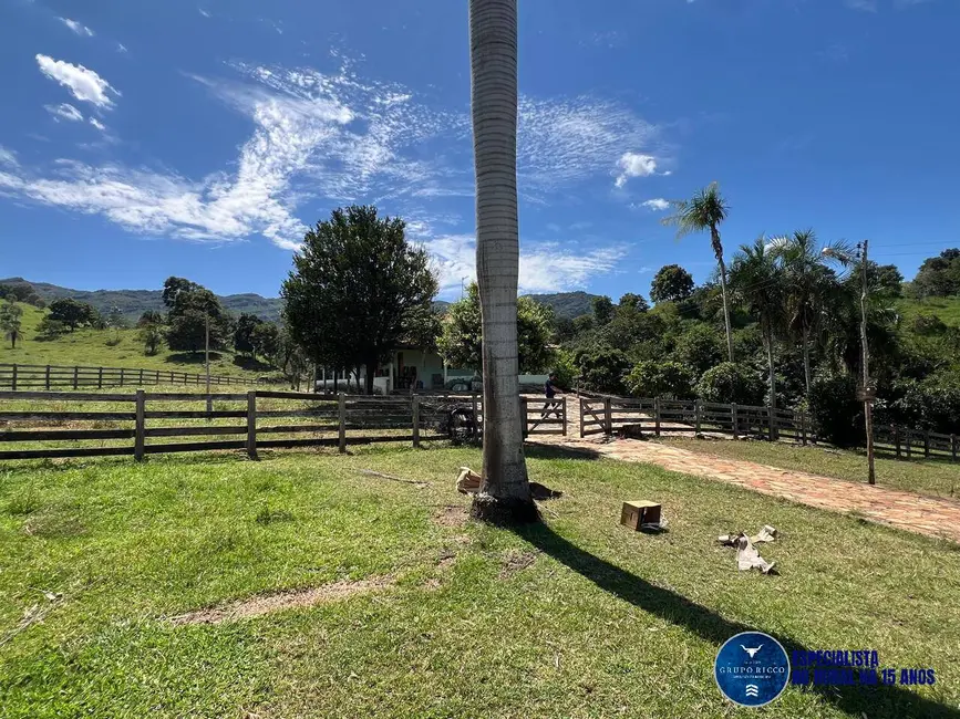 Foto 7 de Fazenda / Haras com 4 quartos à venda, 39m2 em Sanclerlandia - GO