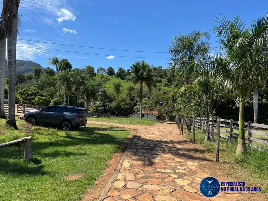 Foto 4 de Fazenda / Haras com 4 quartos à venda, 39m2 em Sanclerlandia - GO