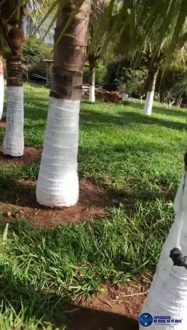 Foto 2 de Chácara à venda, 15000m2 em Inhumas - GO