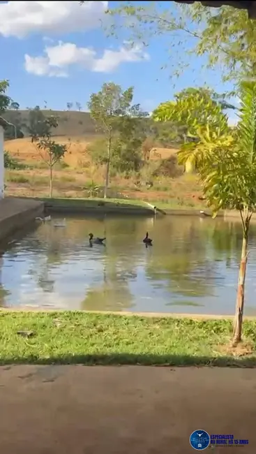 Foto 5 de Chácara com 3 quartos à venda, 15000m2 em Inhumas - GO
