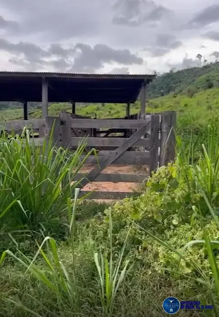 Foto 9 de Fazenda / Haras à venda, 45m2 em Sao Felix Do Xingu - PA