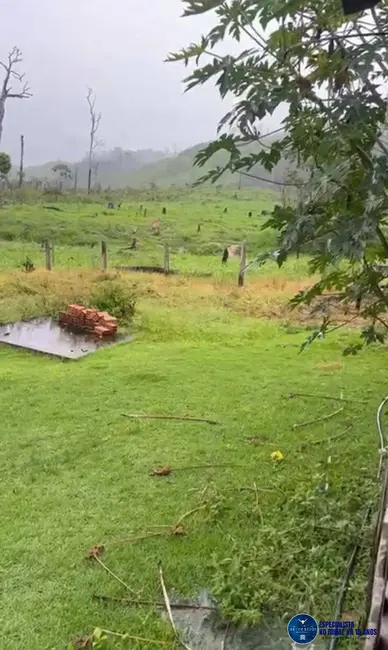 Foto 8 de Fazenda / Haras à venda, 45m2 em Sao Felix Do Xingu - PA