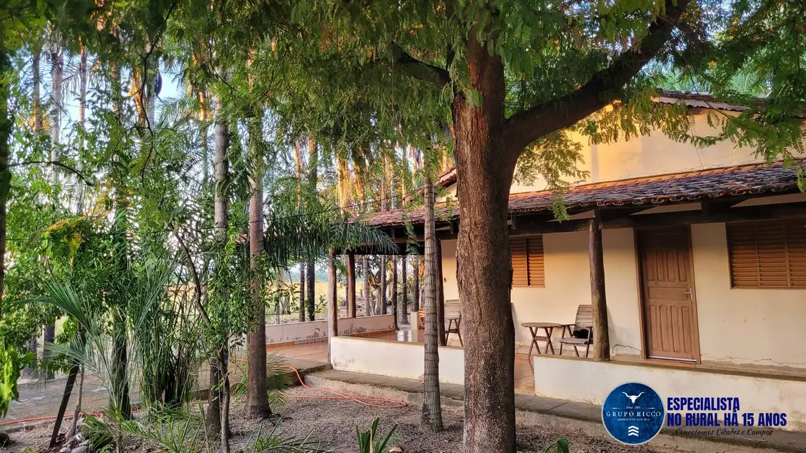 Foto 1 de Fazenda / Haras à venda, 37m2 em Faina - GO