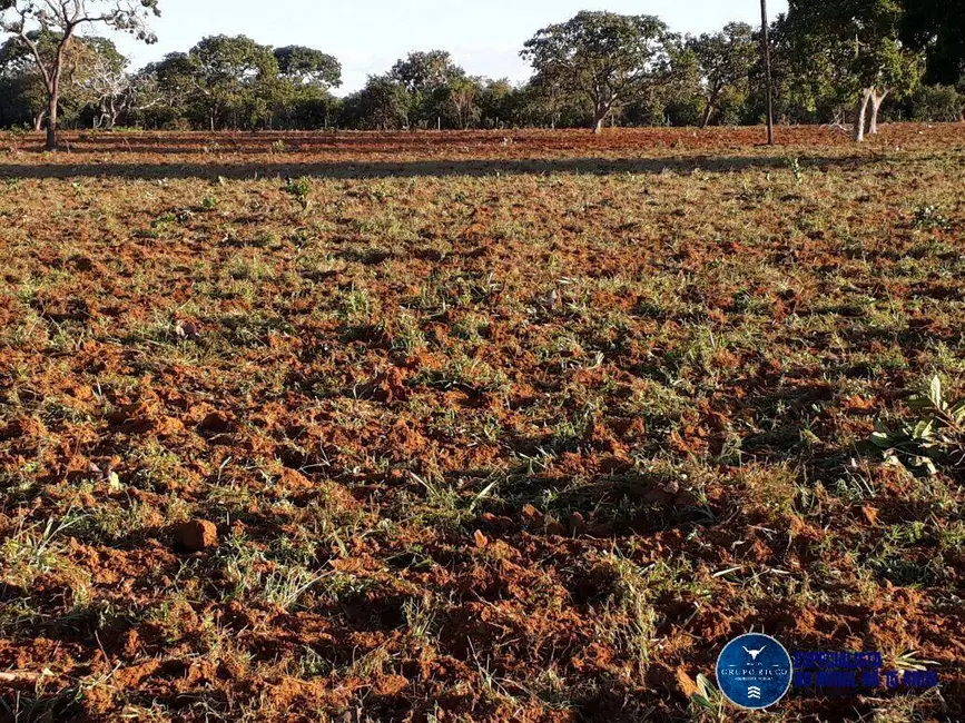 Foto 5 de Fazenda / Haras com 3 quartos à venda, 31m2 em Niquelandia - GO