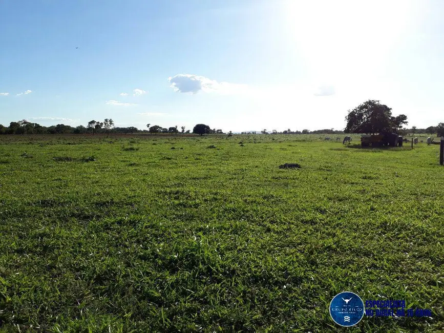 Foto 6 de Fazenda / Haras com 3 quartos à venda, 31m2 em Niquelandia - GO