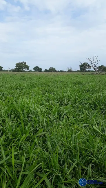 Foto 4 de Fazenda / Haras com 3 quartos à venda, 31m2 em Niquelandia - GO
