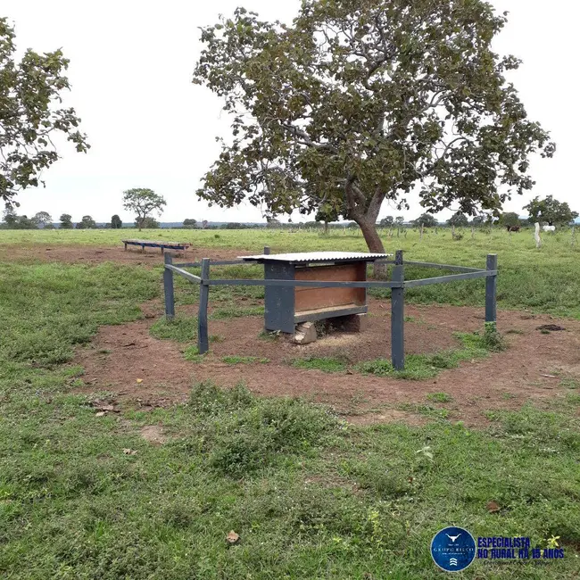 Foto 7 de Fazenda / Haras com 3 quartos à venda, 31m2 em Niquelandia - GO