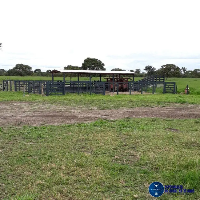 Foto 9 de Fazenda / Haras com 3 quartos à venda, 31m2 em Niquelandia - GO