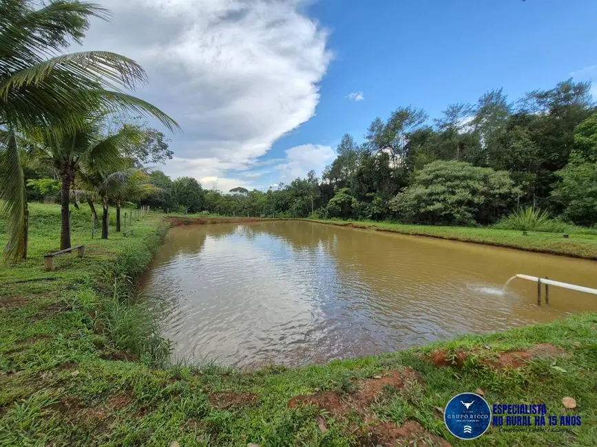 Foto 9 de Chácara com 5 quartos à venda em Hidrolandia - GO