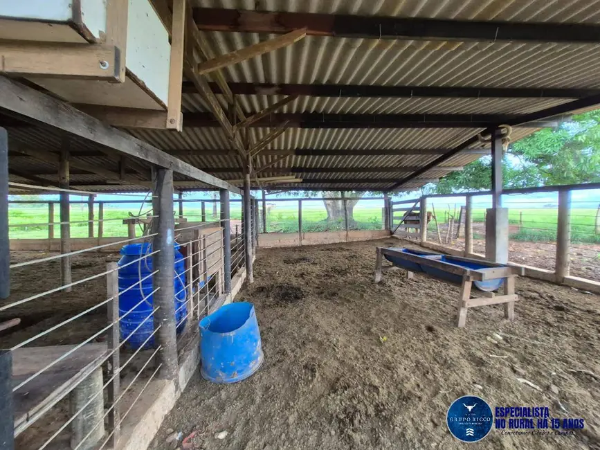 Foto 2 de Chácara com 5 quartos à venda em Hidrolandia - GO