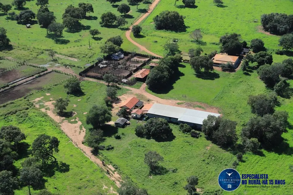 Fazenda / Haras à venda, 575m2 em Uirapuru - GO - imagem 5 Foto 5 de Fazenda / Haras à venda, 575m2 em Uirapuru - GO