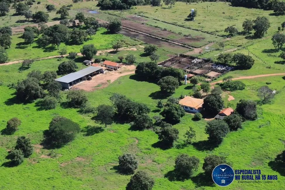 Fazenda / Haras à venda, 575m2 em Uirapuru - GO - imagem 4 Foto 4 de Fazenda / Haras à venda, 575m2 em Uirapuru - GO