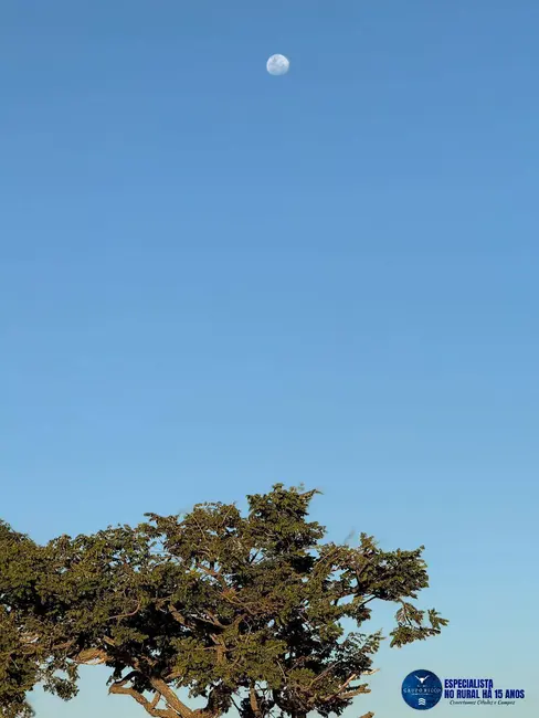 Foto 26 de Chácara à venda, 12000m2 em Anapolis - GO