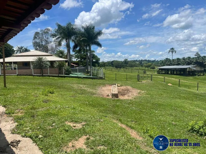 Foto 15 de Chácara à venda em Anicuns - GO