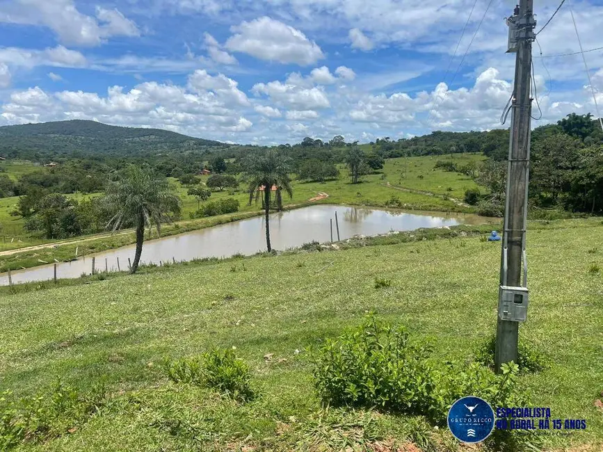 Foto 17 de Chácara à venda em Anicuns - GO
