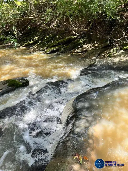 Foto 7 de Chácara à venda em Anicuns - GO