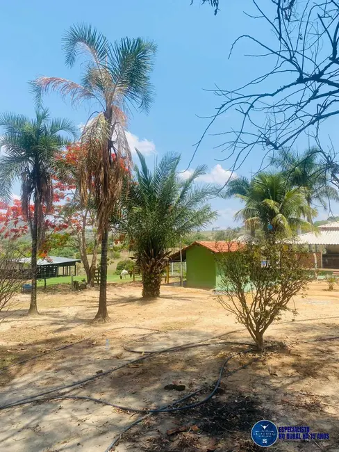Foto 16 de Chácara à venda em Anicuns - GO