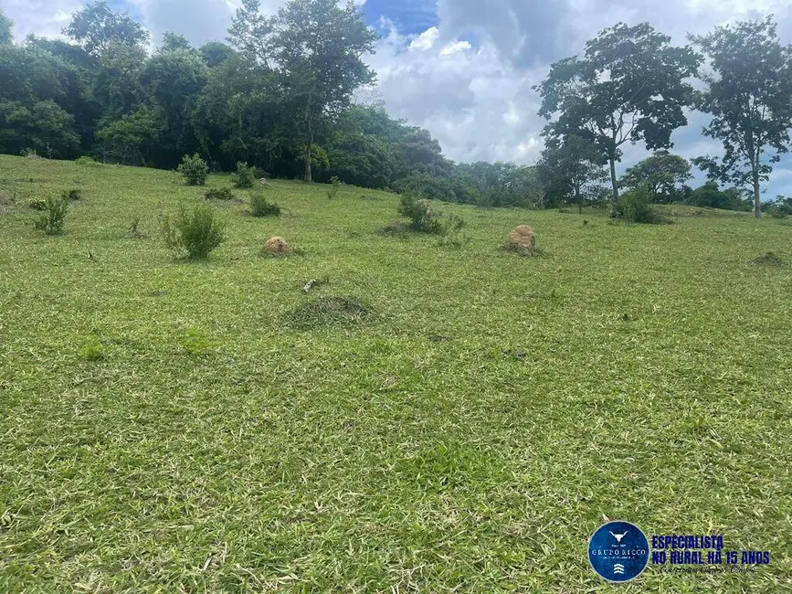 Foto 10 de Chácara à venda em Anicuns - GO
