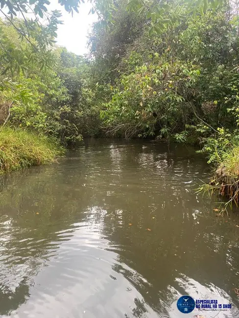 Foto 14 de Chácara à venda em Anicuns - GO