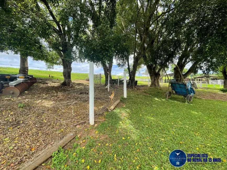 Foto 4 de Fazenda / Haras à venda, 16m2 em Piracanjuba - GO