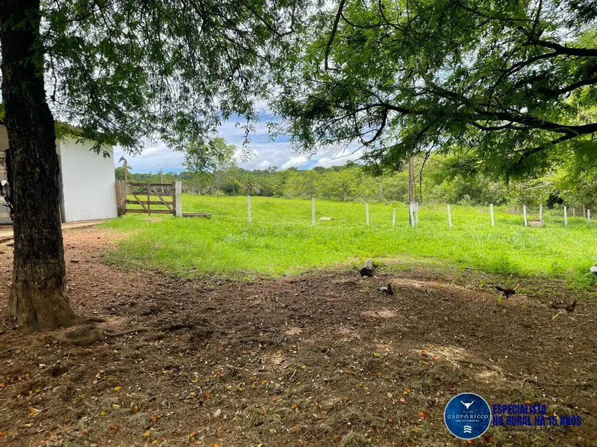 Foto 3 de Fazenda / Haras à venda, 16m2 em Piracanjuba - GO
