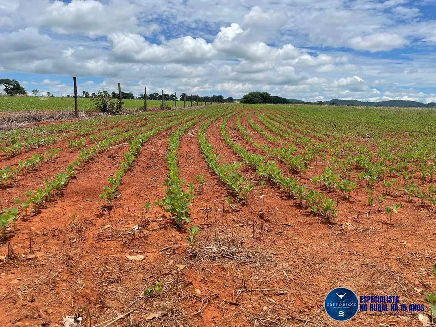 Foto 7 de Fazenda / Haras à venda, 16m2 em Piracanjuba - GO