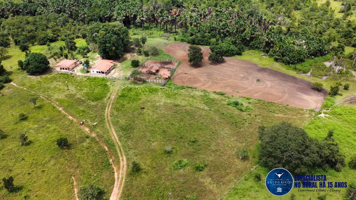Fazenda / Haras à venda, 170m2 em Presidente Kennedy - TO - imagem 2 Foto 2 de Fazenda / Haras à venda, 170m2 em Presidente Kennedy - TO