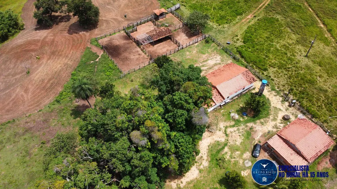 Fazenda / Haras à venda, 170m2 em Presidente Kennedy - TO - imagem 7 Foto 7 de Fazenda / Haras à venda, 170m2 em Presidente Kennedy - TO