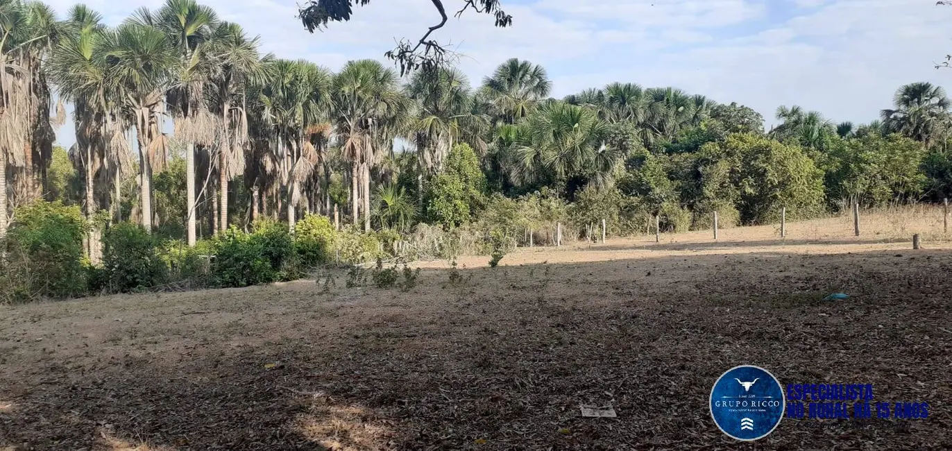 Fazenda / Haras à venda, 170m2 em Presidente Kennedy - TO - imagem 5 Foto 5 de Fazenda / Haras à venda, 170m2 em Presidente Kennedy - TO