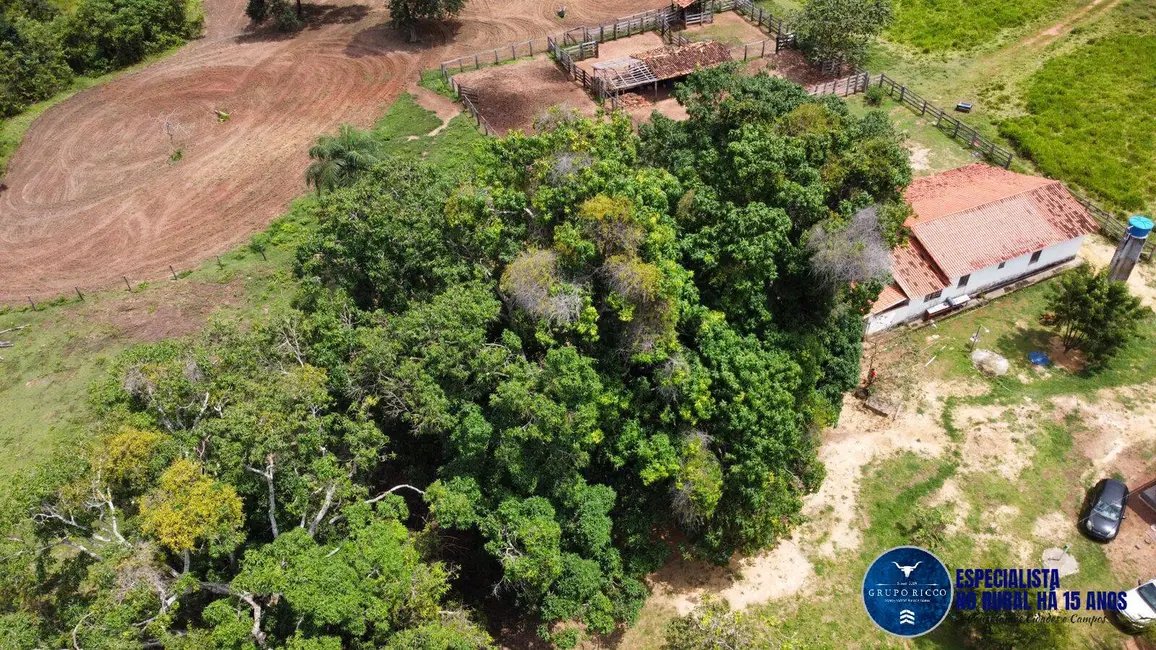 Fazenda / Haras à venda, 170m2 em Presidente Kennedy - TO - imagem 6 Foto 6 de Fazenda / Haras à venda, 170m2 em Presidente Kennedy - TO
