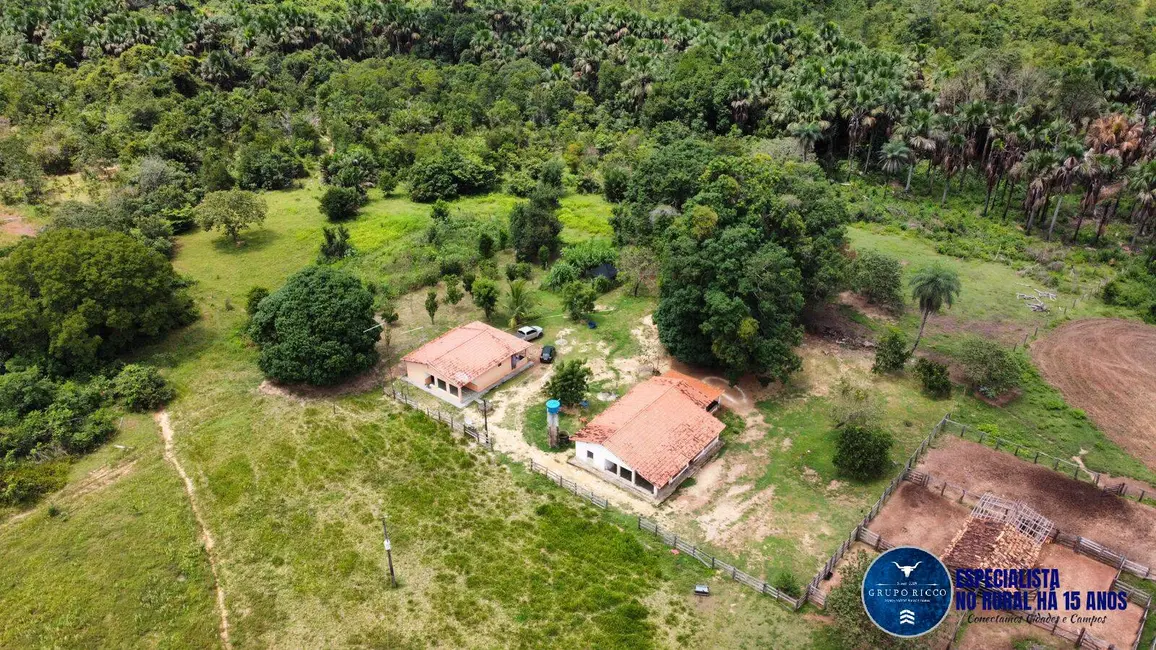 Fazenda / Haras à venda, 170m2 em Presidente Kennedy - TO - imagem 1 Foto 1 de Fazenda / Haras à venda, 170m2 em Presidente Kennedy - TO