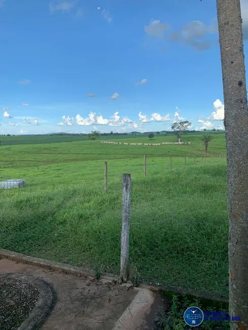 Foto 3 de Fazenda / Haras à venda, 17m2 em Itaberai - GO