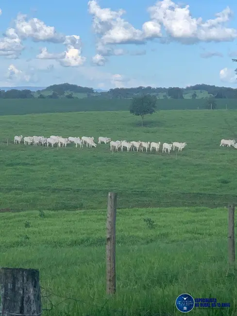 Foto 4 de Fazenda / Haras à venda, 17m2 em Itaberai - GO