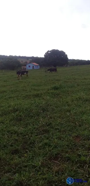 Foto 5 de Chácara à venda em Petrolina De Goias - GO