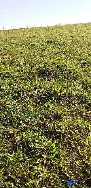 Foto 3 de Chácara à venda em Petrolina De Goias - GO
