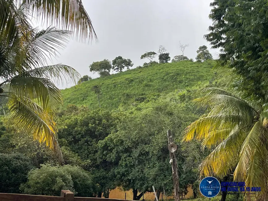 Foto 8 de Fazenda / Haras à venda, 33m2 em Goiás - GO