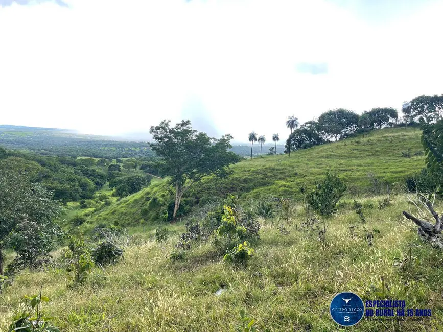 Foto 7 de Fazenda / Haras à venda, 33m2 em Goiás - GO