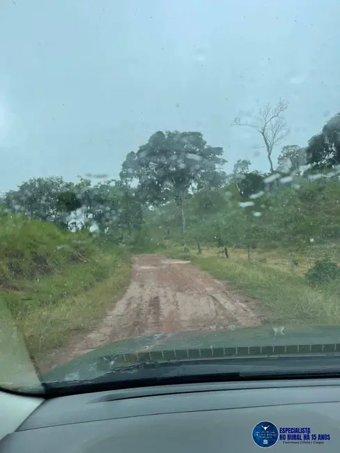 Foto 5 de Fazenda / Haras à venda, 33m2 em Goiás - GO