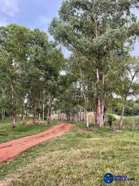 Foto 1 de Fazenda / Haras à venda, 33m2 em Goiás - GO