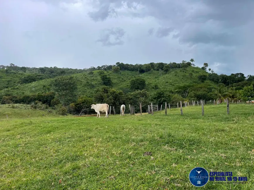 Foto 3 de Fazenda / Haras à venda, 33m2 em Goiás - GO