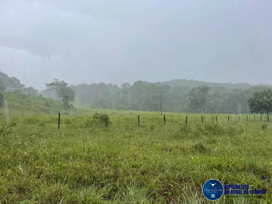 Foto 4 de Fazenda / Haras à venda, 33m2 em Goiás - GO